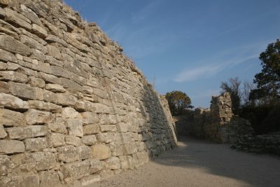 Üzümün Bağlardan Masamıza Yolculuğu ve Troya
