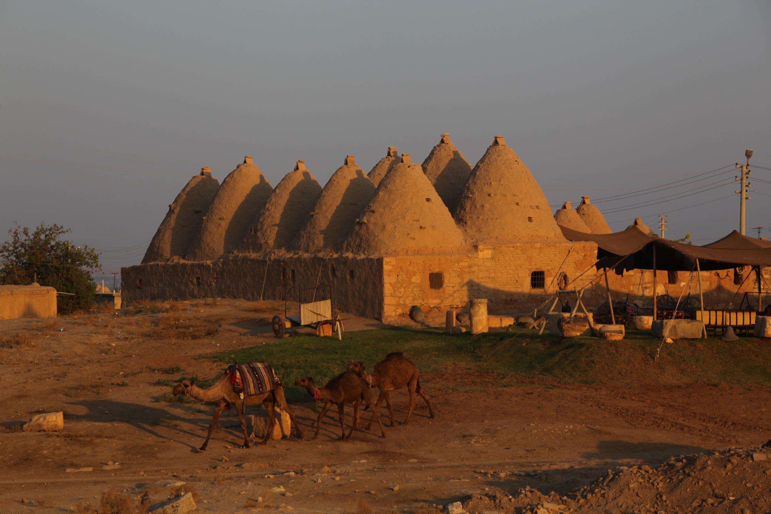 Halfeti – Şanlıurfa – Göbekli Tepe