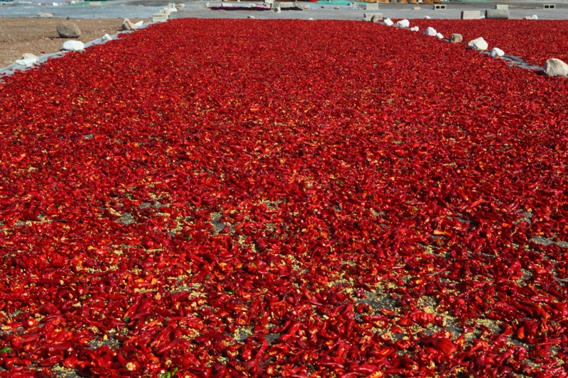 Halfeti – Şanlıurfa – Göbekli Tepe