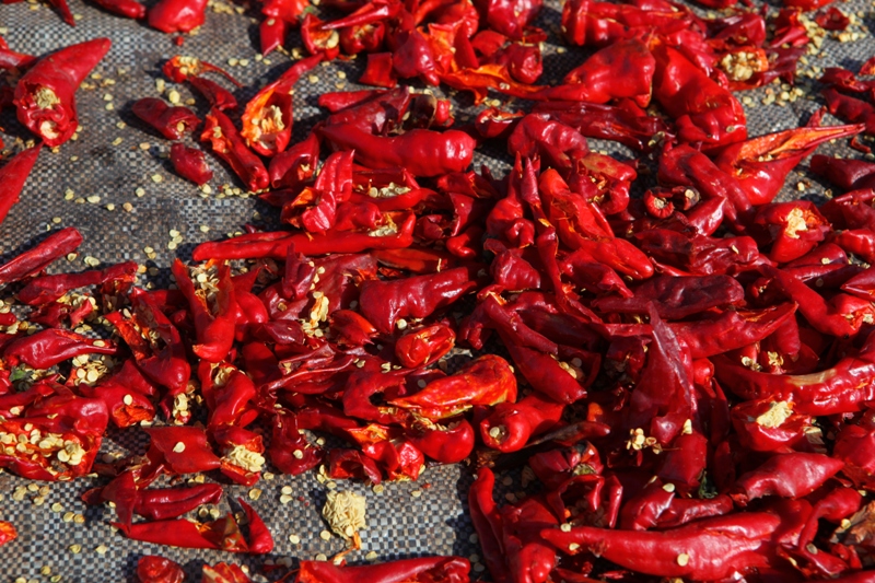 Halfeti – Şanlıurfa – Göbekli Tepe