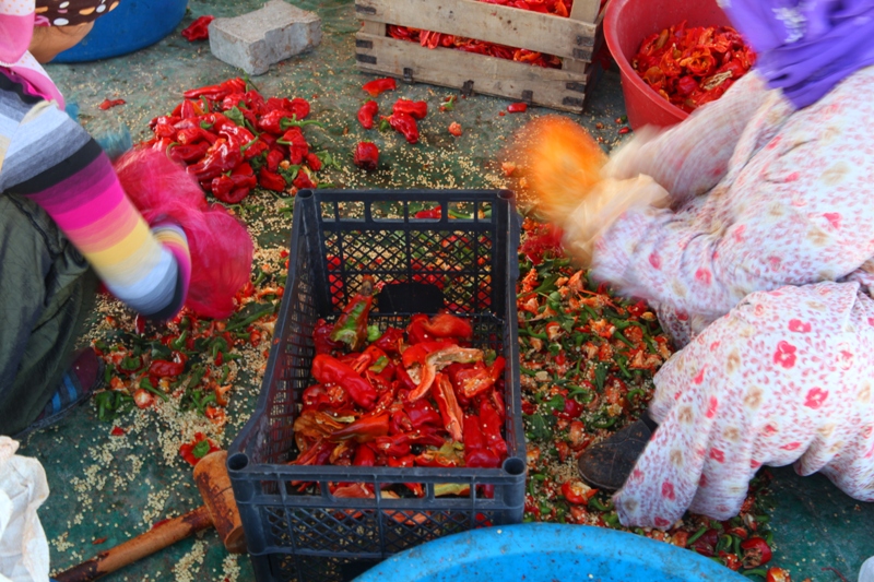 Halfeti – Şanlıurfa – Göbekli Tepe