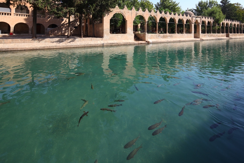 Halfeti – Şanlıurfa – Göbekli Tepe