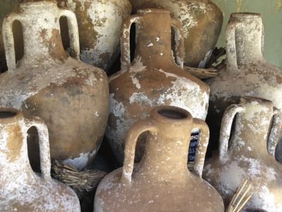 Üzümün Bağlardan Masamıza Yolculuğu ve Troya