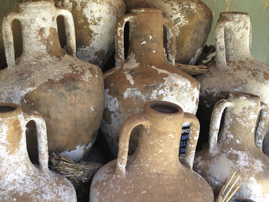 Üzümün Bağlardan Masamıza Yolculuğu ve Troya