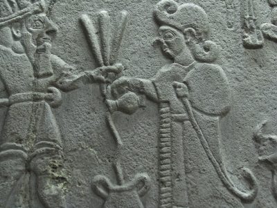 Üzümün Bağlardan Masamıza Yolculuğu ve Troya