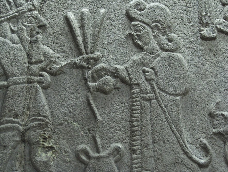 Üzümün Bağlardan Masamıza Yolculuğu ve Troya